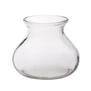5.875"Dia. x 4.75"Tall Clear Possie Glass Vase